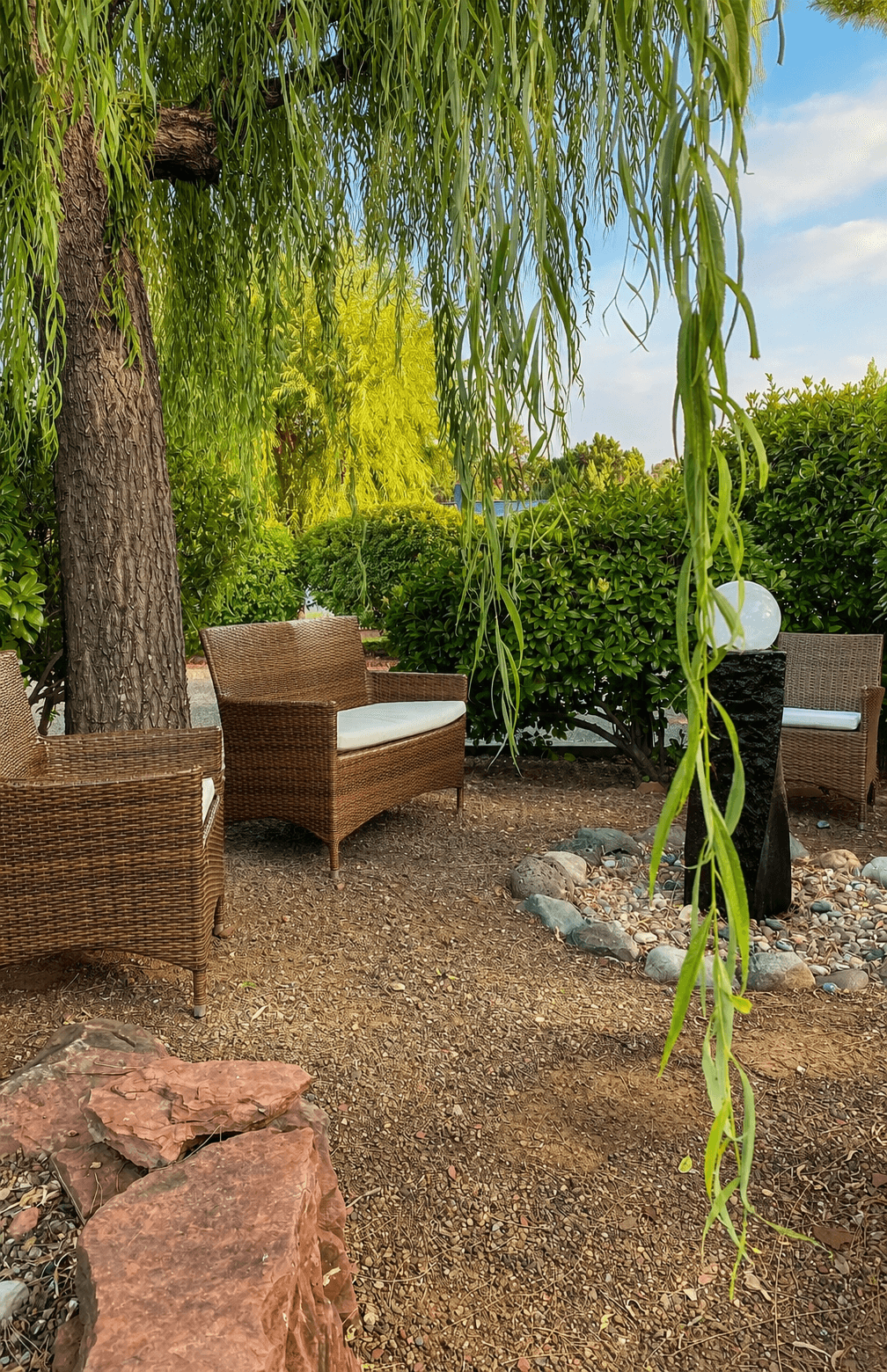 Willow branches trailing over wicker chairs in Guan Yin's own outside garden