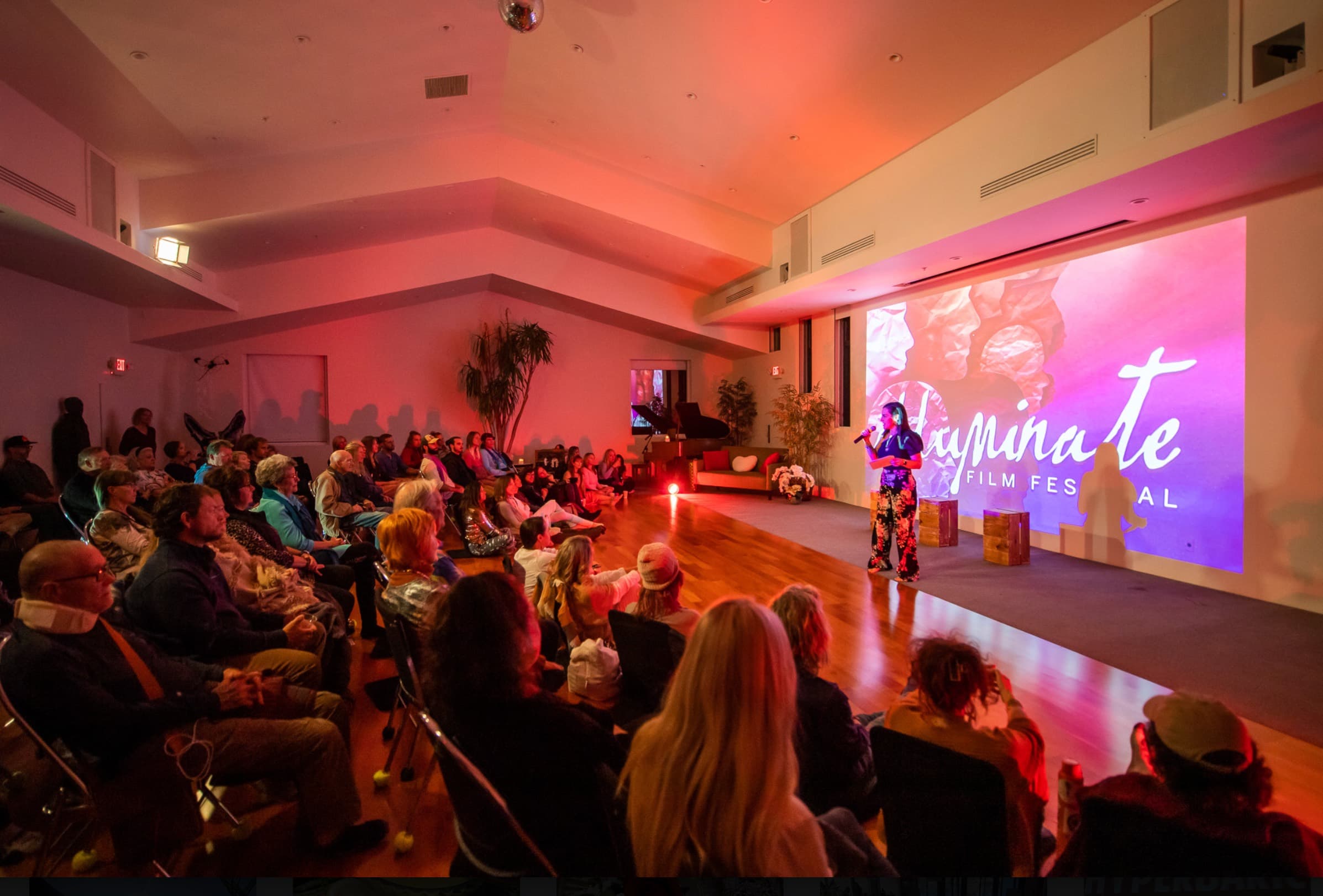 Festivals & Trainings