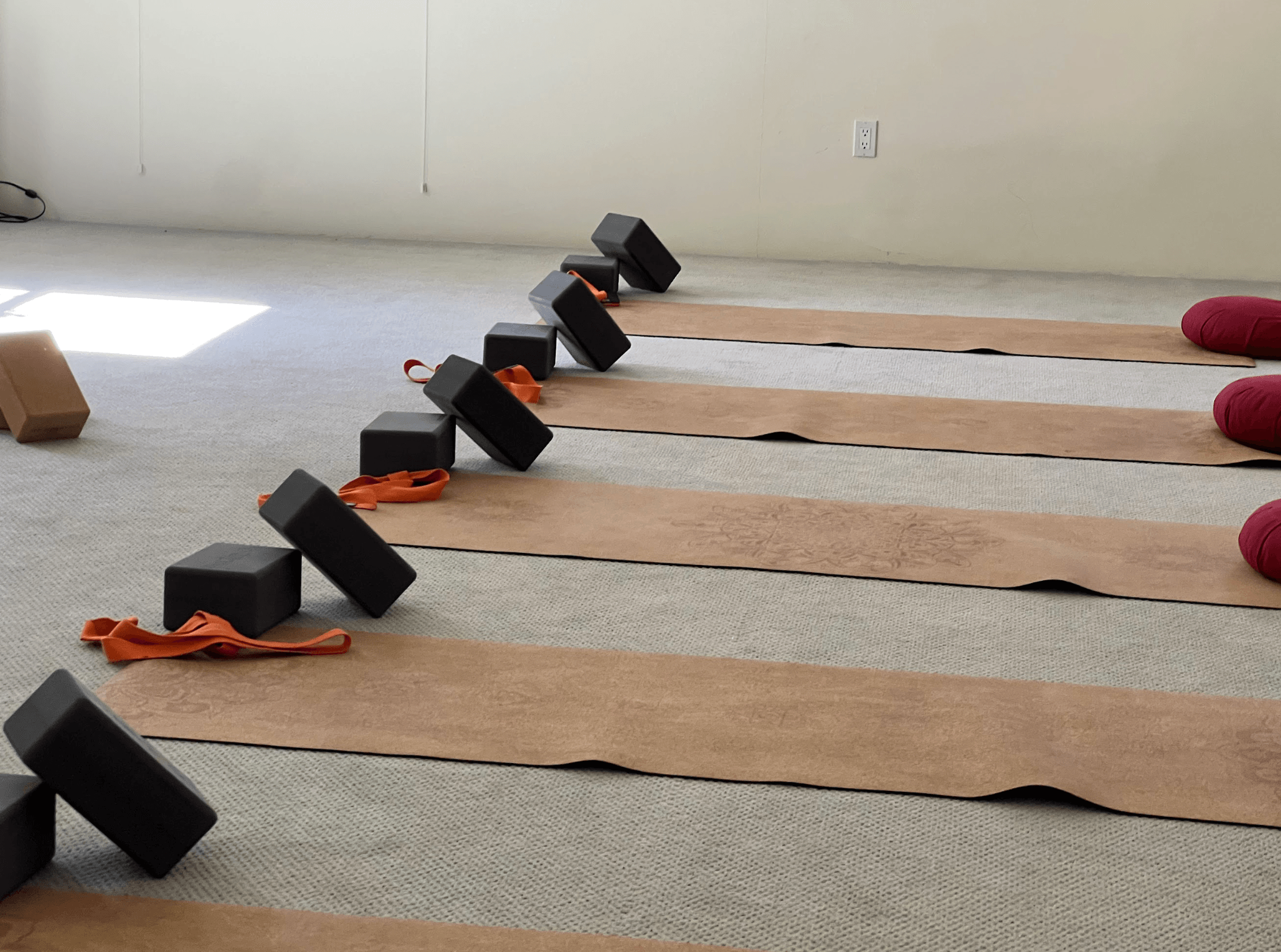 Mats laid in an easy row, blocks and straps ready for practice