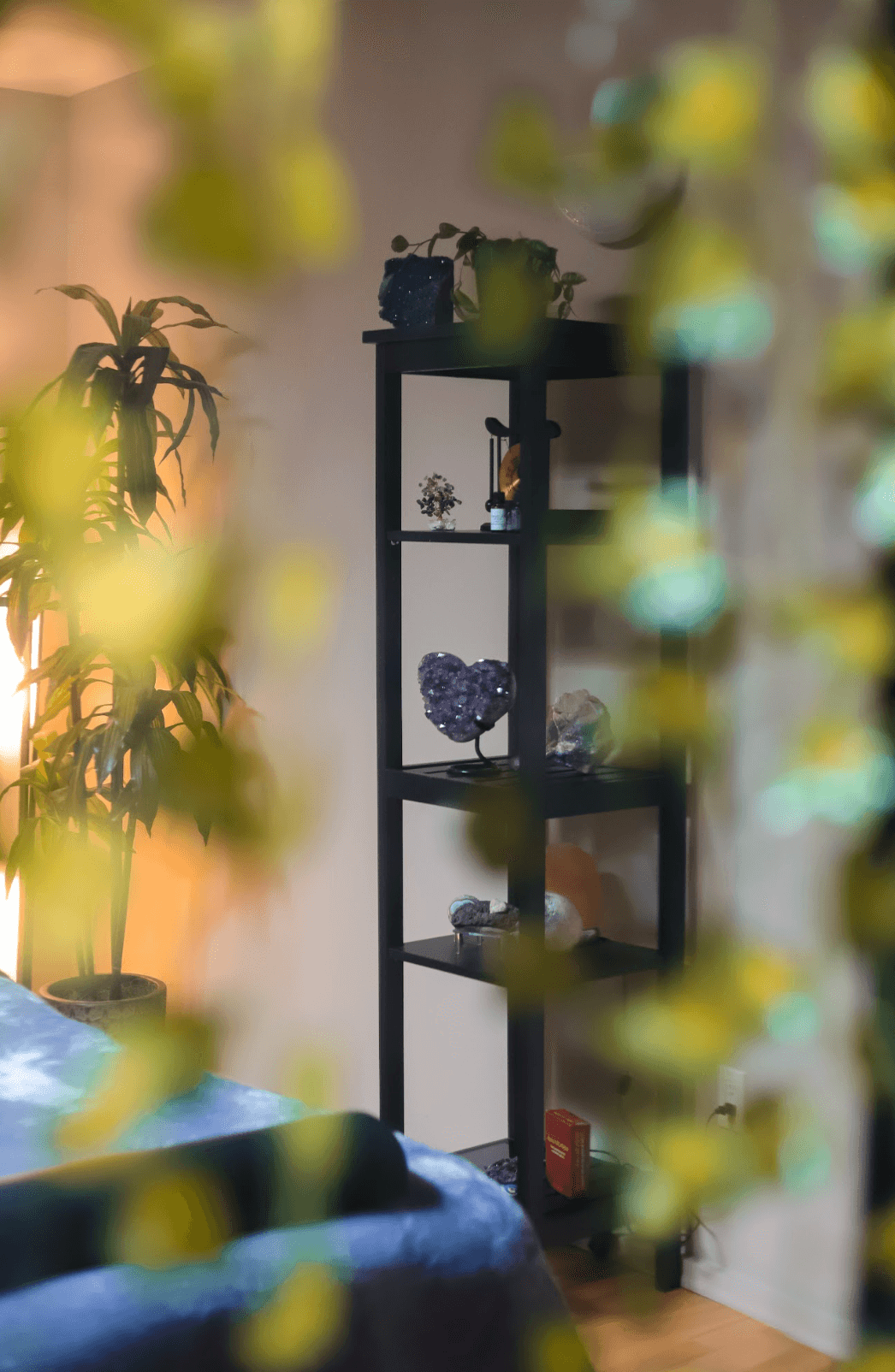 A shelf of amethyst and crystal clusters glimpsed through sunlit leaves in a quiet corner of Sedonya